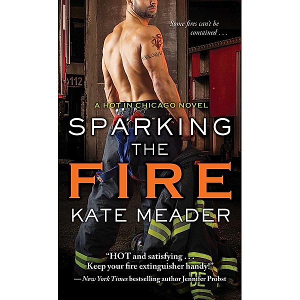 Sparking the Fire, Kate Meader