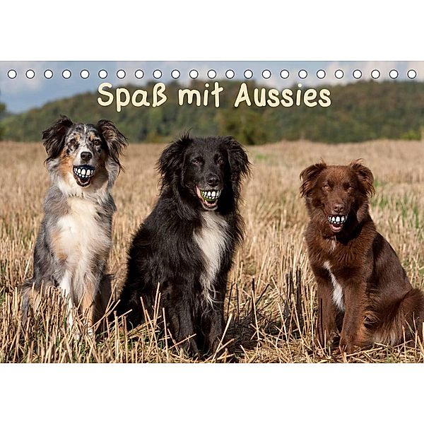 Spaß mit Aussies (Tischkalender 2023 DIN A5 quer), Angela Münzel-Hashish - www.tierphotografie.com