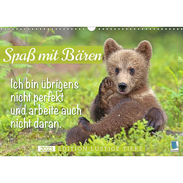 Spaß mit Bären: Edition lustige Tiere (Wandkalender 2023 DIN A3 quer), Calvendo