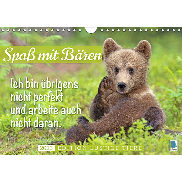Spaß mit Bären: Edition lustige Tiere (Wandkalender 2023 DIN A4 quer), Calvendo