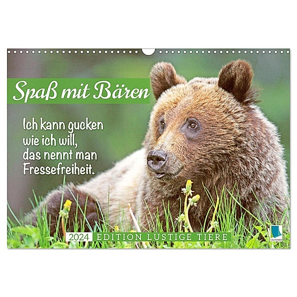 Spaß mit Bären: Edition lustige Tiere (Wandkalender 2024 DIN A3 quer), CALVENDO Monatskalender, Calvendo