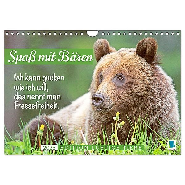 Spaß mit Bären: Edition lustige Tiere (Wandkalender 2025 DIN A4 quer), CALVENDO Monatskalender, Calvendo