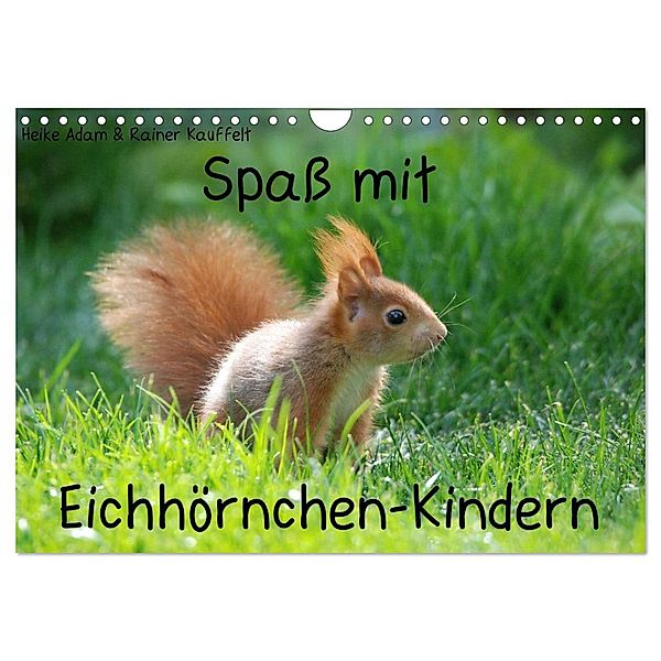 Spass mit Eichhörnchen-Kindern (Wandkalender 2024 DIN A4 quer), CALVENDO Monatskalender, Heike Adam