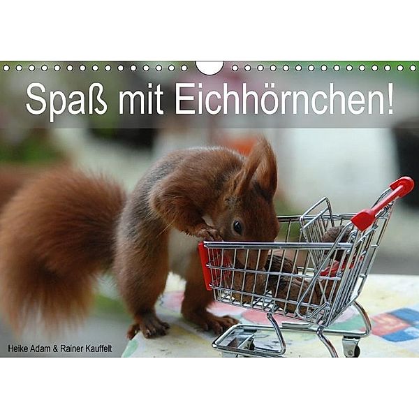 Spaß mit Eichhörnchen! (Wandkalender 2017 DIN A4 quer), Heike Adam