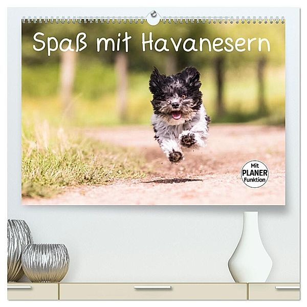 Spaß mit Havanesern (hochwertiger Premium Wandkalender 2024 DIN A2 quer), Kunstdruck in Hochglanz, Sonja Teßen