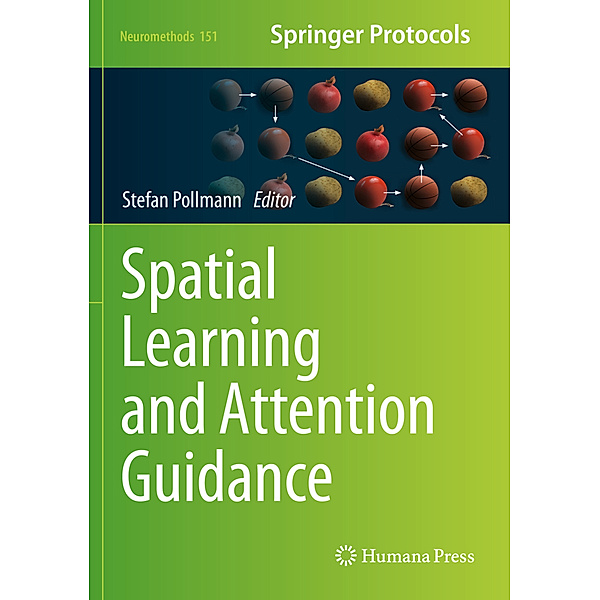 Spatial Learning and Attention Guidance