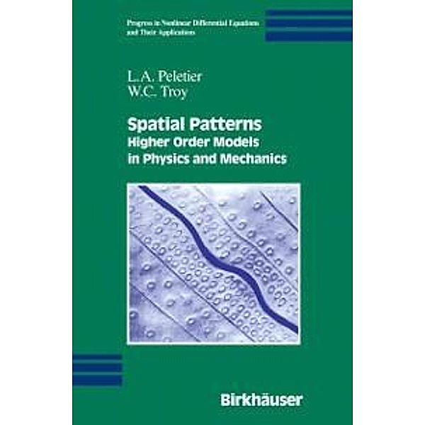 Spatial Patterns / Progress in Nonlinear Differential Equations and Their Applications Bd.45, L. A. Peletier, W. C. Troy