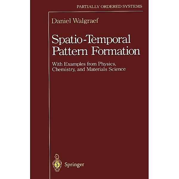 Spatio-Temporal Pattern Formation / Partially Ordered Systems, Daniel Walgraef