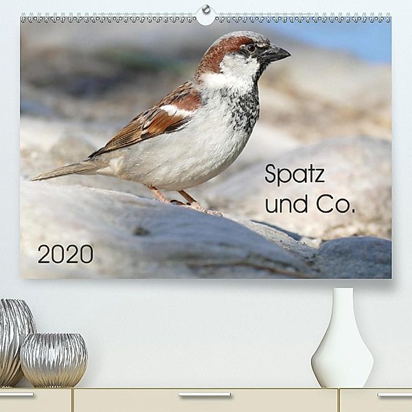 Spatz und Co. (Premium, hochwertiger DIN A2 Wandkalender 2020, Kunstdruck in Hochglanz), Verena Mahrhofer