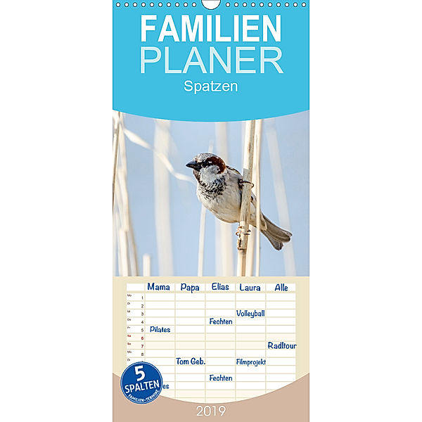 Spatzen - Familienplaner hoch (Wandkalender 2019 , 21 cm x 45 cm, hoch), Marianne Drews