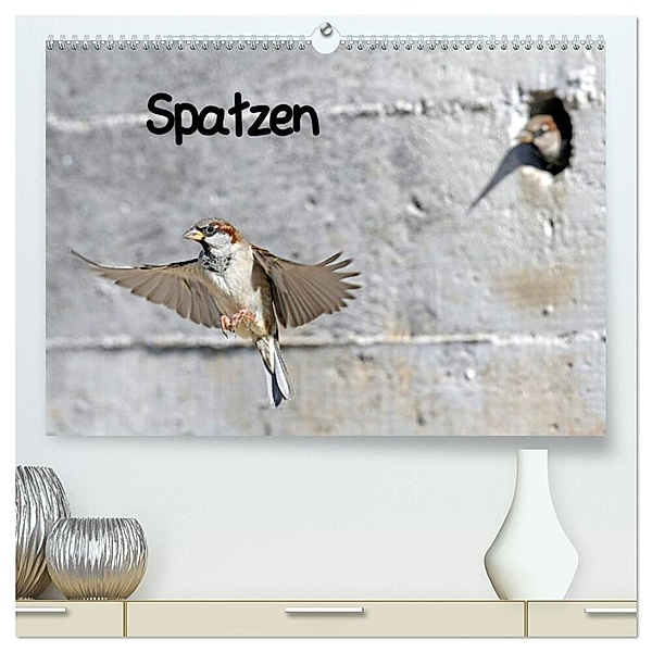 Spatzen (hochwertiger Premium Wandkalender 2024 DIN A2 quer), Kunstdruck in Hochglanz, Benny Trapp
