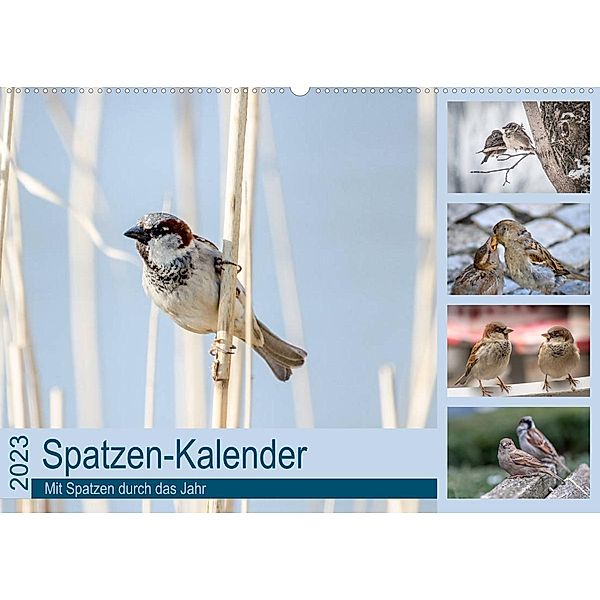 Spatzen-Kalender (Wandkalender 2023 DIN A2 quer), Marianne Drews