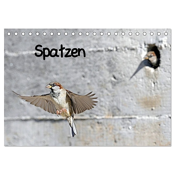 Spatzen (Tischkalender 2025 DIN A5 quer), CALVENDO Monatskalender, Calvendo, Benny Trapp