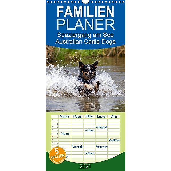 Spaziergang am See Australian Cattle Dogs - Familienplaner hoch (Wandkalender 2021 , 21 cm x 45 cm, hoch), Fotodesign Verena Scholze