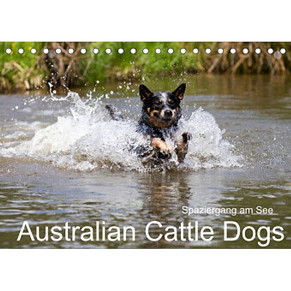 Spaziergang am See Australian Cattle Dogs (Tischkalender 2022 DIN A5 quer), Fotodesign Verena Scholze