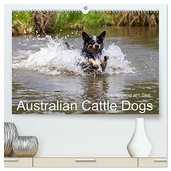 Spaziergang am See Australian Cattle Dogs (hochwertiger Premium Wandkalender 2024 DIN A2 quer), Kunstdruck in Hochglanz, Fotodesign Verena Scholze
