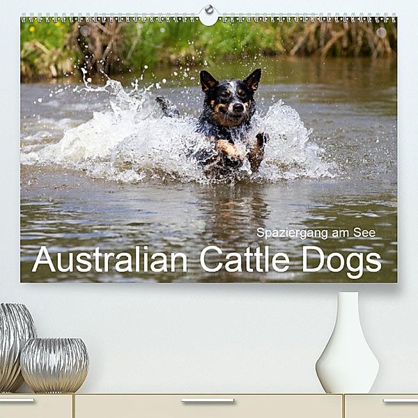 Spaziergang am See Australian Cattle Dogs (Premium-Kalender 2020 DIN A2 quer), Verena Scholze