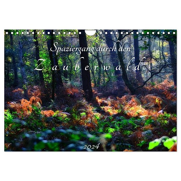 Spaziergang durch den Zauberwald (Wandkalender 2024 DIN A4 quer), CALVENDO Monatskalender, Peter Hebgen