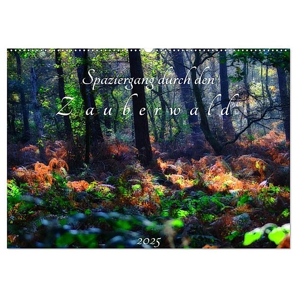 Spaziergang durch den Zauberwald (Wandkalender 2025 DIN A2 quer), CALVENDO Monatskalender, Calvendo, Peter Hebgen
