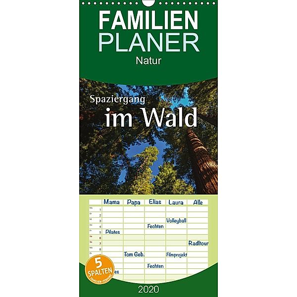 Spaziergang im Wald - Familienplaner hoch (Wandkalender 2020 , 21 cm x 45 cm, hoch), Nils Hoffmann