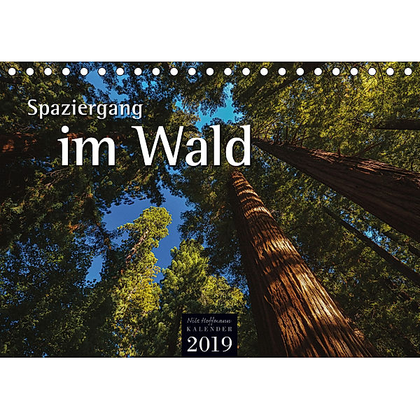 Spaziergang im Wald (Tischkalender 2019 DIN A5 quer), Nils Hoffmann