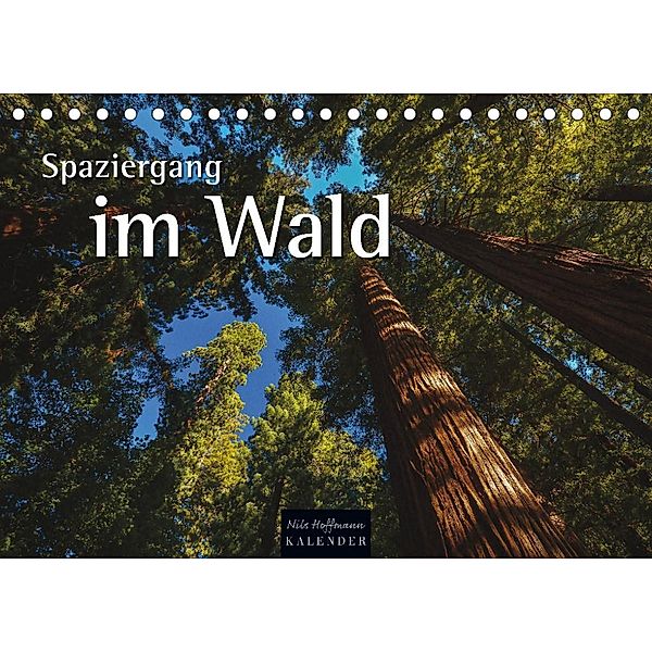 Spaziergang im Wald (Tischkalender 2023 DIN A5 quer), Nils Hoffmann