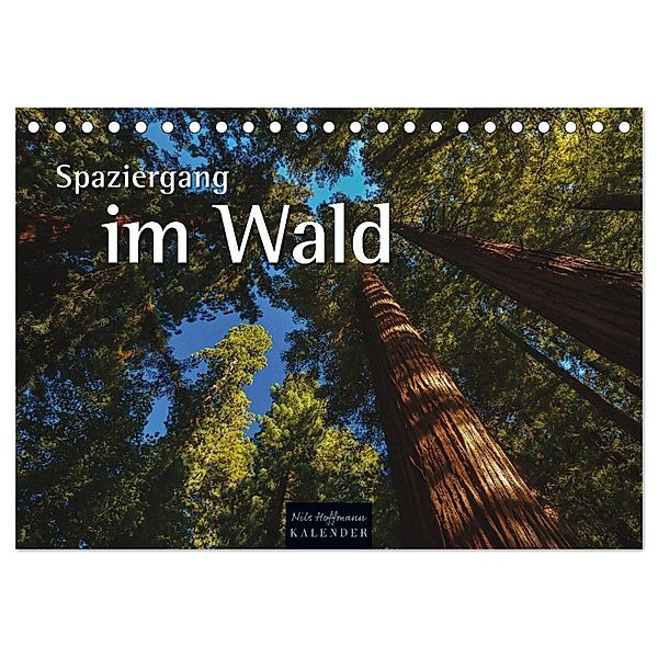 Spaziergang im Wald (Tischkalender 2024 DIN A5 quer), CALVENDO Monatskalender, Nils Hoffmann