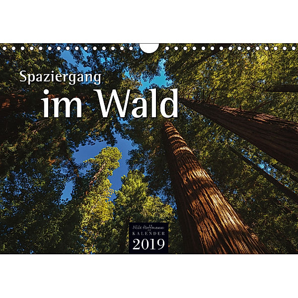 Spaziergang im Wald (Wandkalender 2019 DIN A4 quer), Nils Hoffmann