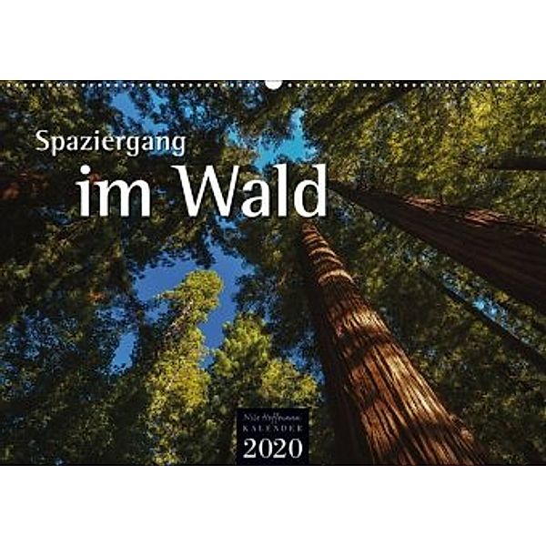 Spaziergang im Wald (Wandkalender 2020 DIN A2 quer), Nils Hoffmann