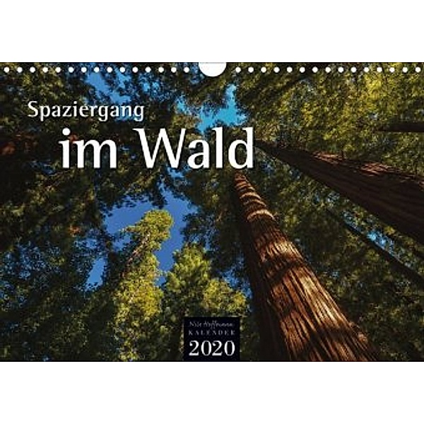 Spaziergang im Wald (Wandkalender 2020 DIN A4 quer), Nils Hoffmann