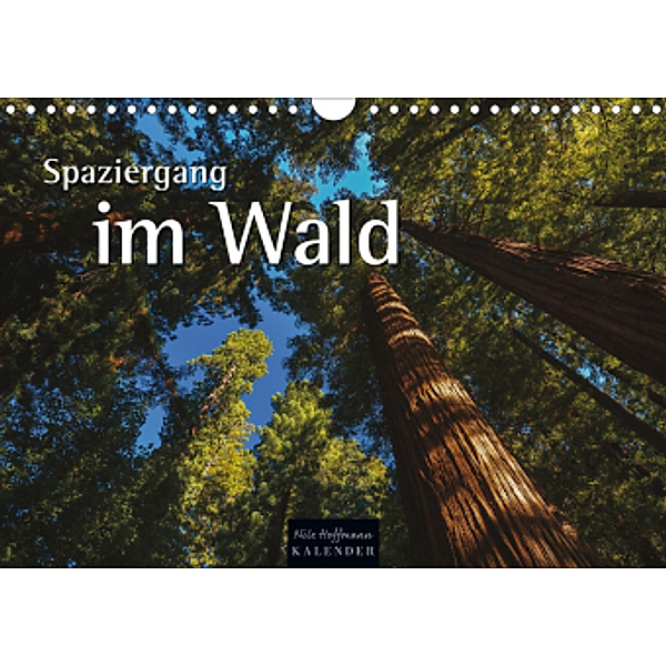 Spaziergang im Wald (Wandkalender 2021 DIN A4 quer), Nils Hoffmann