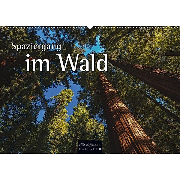 Spaziergang im Wald (Wandkalender 2023 DIN A2 quer), Nils Hoffmann
