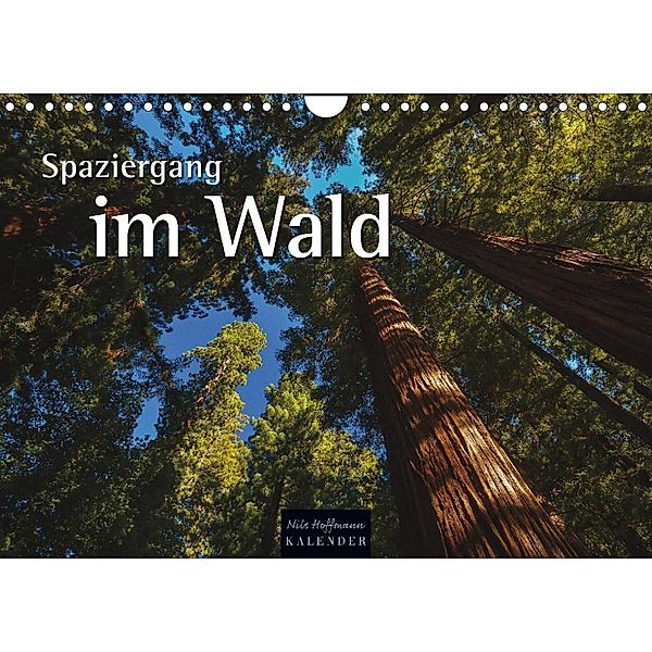 Spaziergang im Wald (Wandkalender 2023 DIN A4 quer), Nils Hoffmann