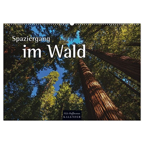 Spaziergang im Wald (Wandkalender 2024 DIN A2 quer), CALVENDO Monatskalender, Nils Hoffmann
