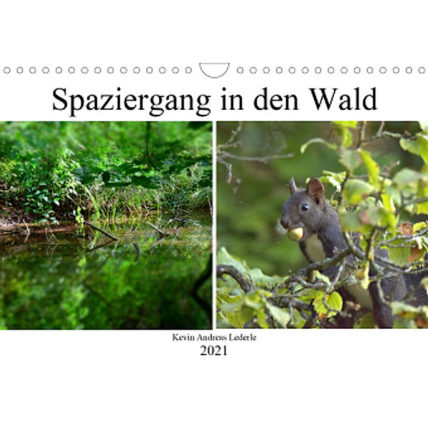 Spaziergang in den Wald (Wandkalender 2021 DIN A4 quer), Kevin Andreas Lederle