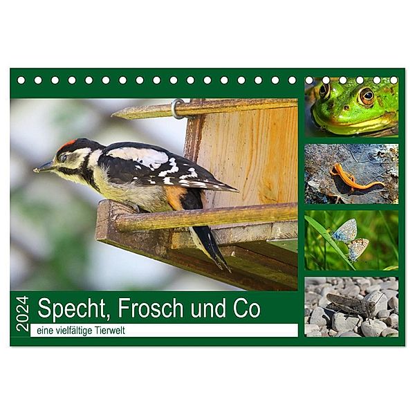 Specht, Frosch und Co - eine vielfältige Tierwelt (Tischkalender 2024 DIN A5 quer), CALVENDO Monatskalender, Claudia Schimmack