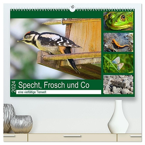 Specht, Frosch und Co - eine vielfältige Tierwelt (hochwertiger Premium Wandkalender 2024 DIN A2 quer), Kunstdruck in Hochglanz, Claudia Schimmack
