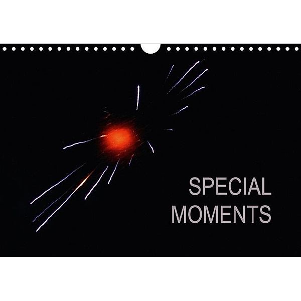 Special Moments (Wall Calendar 2017 DIN A4 Landscape), Andrea Ganz