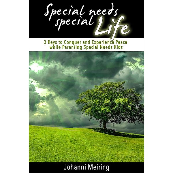 Special Needs Special Life: 3 Keys to Conquer and Experience Peace while Parenting Special Needs Kids, Johanni Meiring
