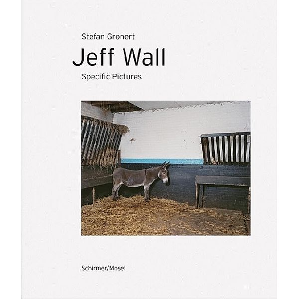 Specific Pictures, Jeff Wall