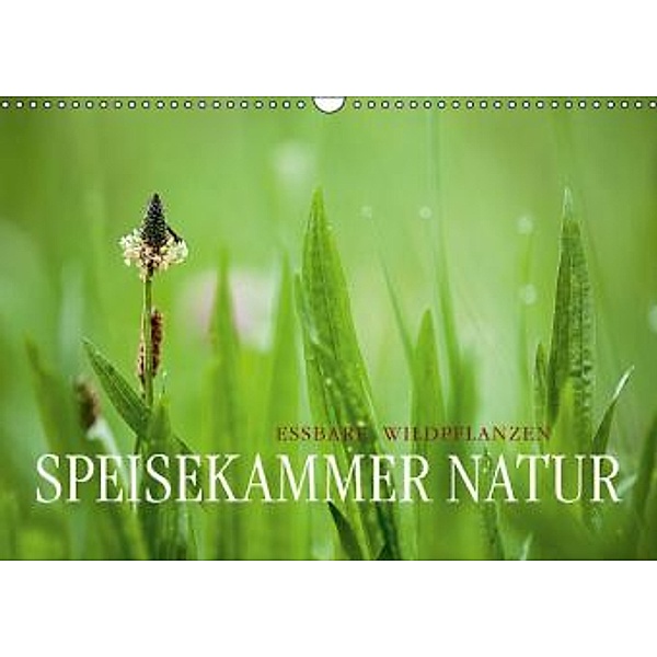 SPEISEKAMMER NATUR - Essbare WildpflanzenCH-Version (Wandkalender 2015 DIN A3 quer), Markus Wuchenauer pixelrohkost.de