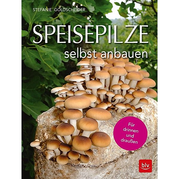 Speisepilze selbst anbauen, Stefanie Goldscheider