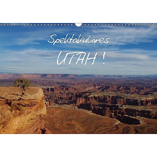 Spektakuläres Utah! (Wandkalender 2014 DIN A3 quer), Claudio Del Luongo