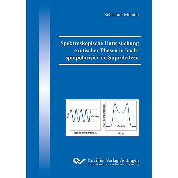 Spektroskopische Untersuchung exotischer Phasen in hochspinpolarisierten Supraleitern, Sebastian Molatta