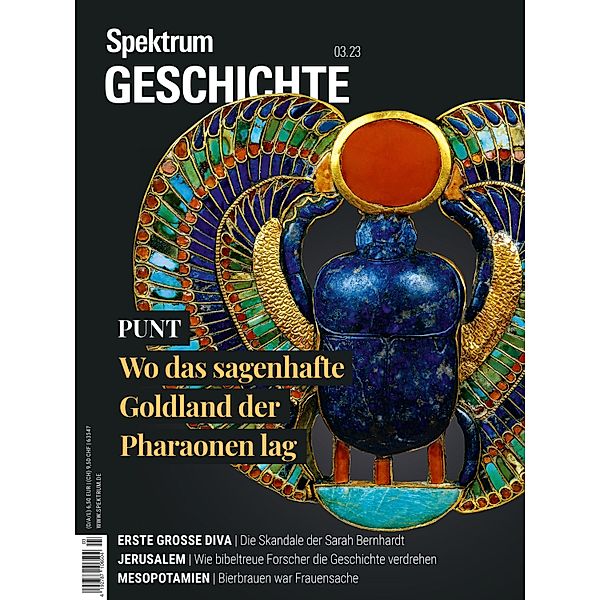 Spektrum Geschichte - Punt