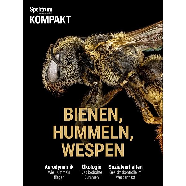Spektrum Kompakt - Bienen, Hummeln, Wespen / Spektrum Kompakt