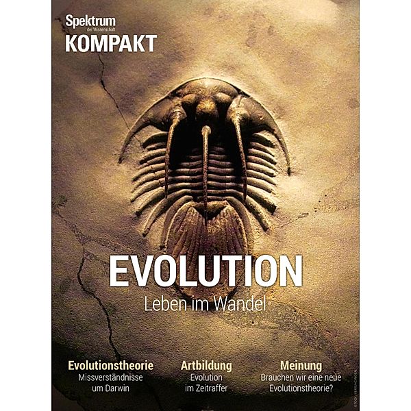 Spektrum Kompakt - Evolution / Spektrum Kompakt