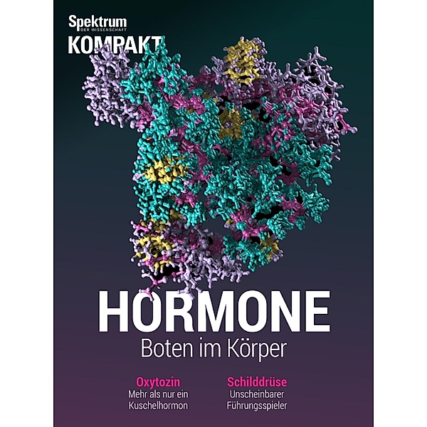 Spektrum Kompakt - Hormone / Spektrum Kompakt