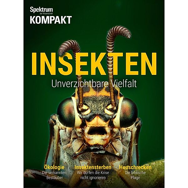 Spektrum Kompakt - Insekten / Spektrum Kompakt