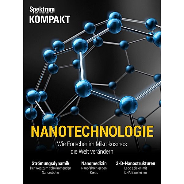 Spektrum Kompakt - Nanotechnologie